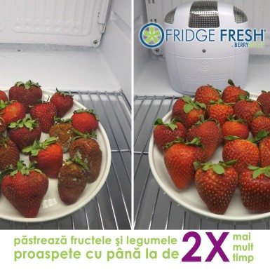 Fridge Fresh - dispozitiv pentru mentinerea fructelor si legumelor proaspete | Produs Original de la Telestar Fridge Fresh - dispozitiv pentru mentinerea fructelor si legumelor proaspete | Produs Original de la Telestar
