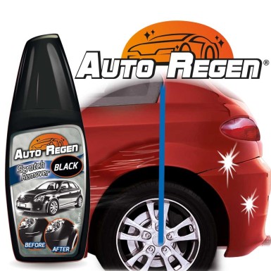 Auto Regen example Auto Regen example