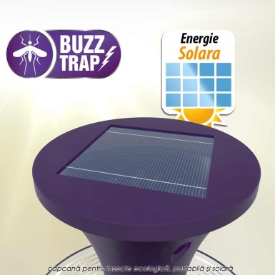 Buzz Trap Buzz Trap