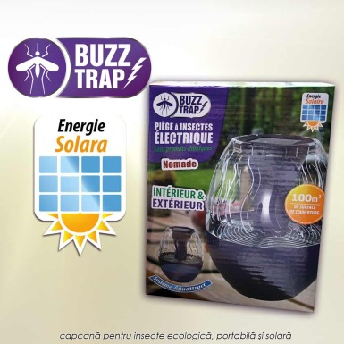 Buzz Trap Buzz Trap