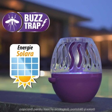 Buzz Trap Buzz Trap