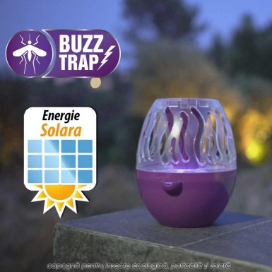 Buzz Trap Buzz Trap