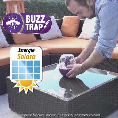 Buzz Trap Buzz Trap