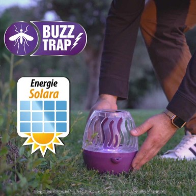 Buzz Trap Buzz Trap