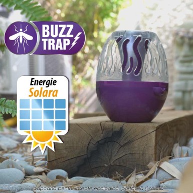 Buzz Trap Buzz Trap