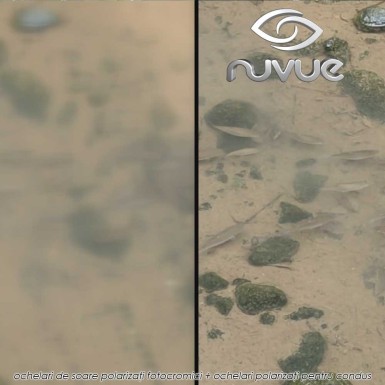 Pachet PROMO NuVue: 2x ochelari polarizati fotocromici + 2x ochelari polarizati pentru condus Pachet PROMO NuVue: 2x ochelari polarizati fotocromici + 2x ochelari polarizati pentru condus