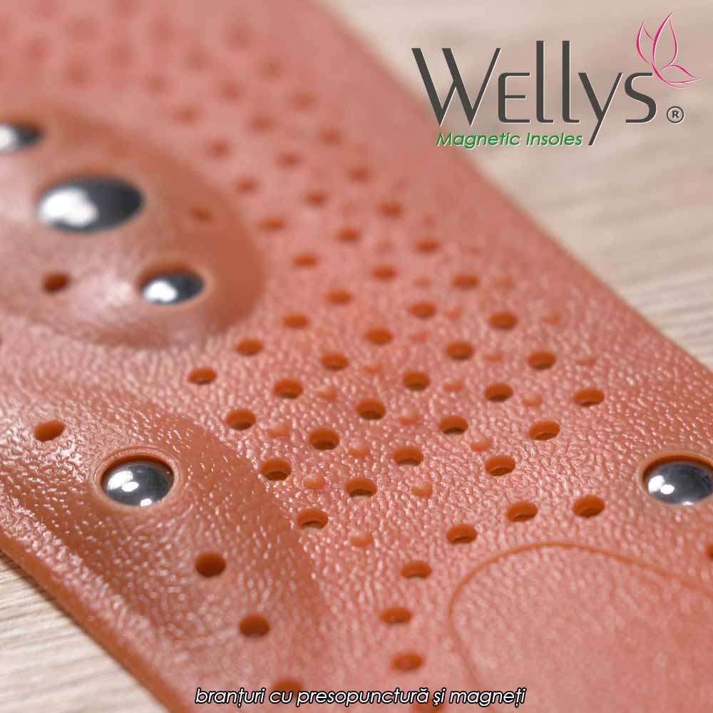 Wellys magnetic insoles - branturi cu presopunctura si magneti