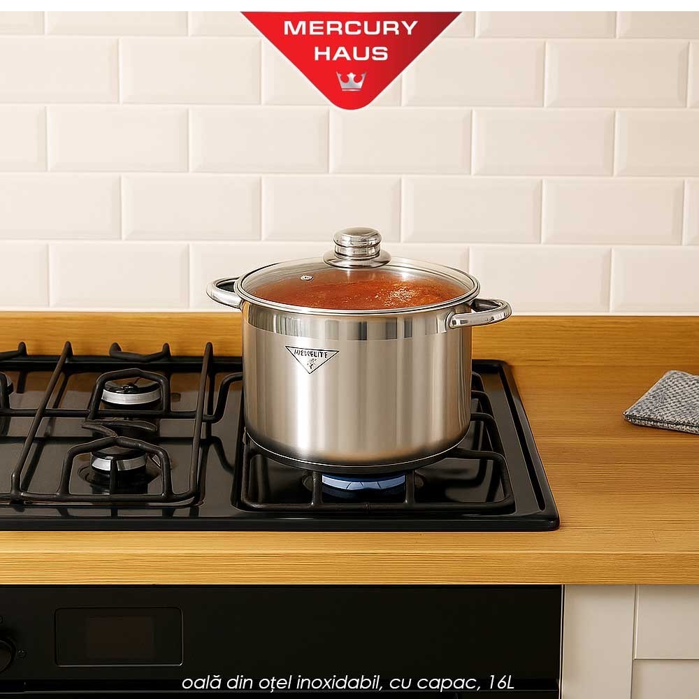 Mercury Haus MC7034 - oală din oțel inoxidabil, cu capac, 16L