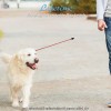 Lifetime Glowing Retractable Dog Leash - lesă retractabilă reflectorizantă pentru câini, 5m