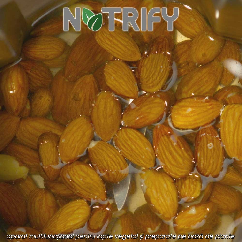 Nutrify – aparat multifuncțional pentru lapte vegetal și preparate pe bază de plante, 800W