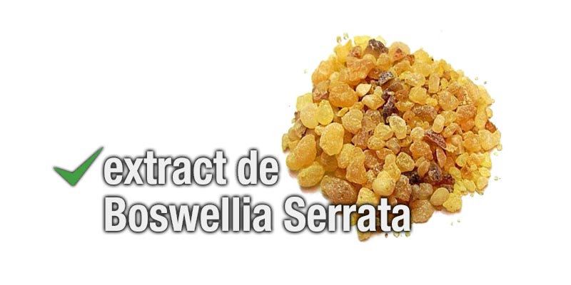 helix original boswellia