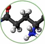 L-Glutamine