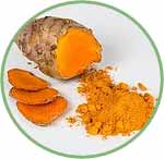 Turmeric (Curcuma)